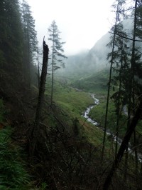 Smrečianka vtéká do zalesněné části Žiarské doliny