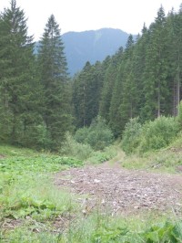 Stanišovská dolina, pohled zpět, vzadu hora Poludnica