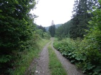Cesta ve Stanišovské dolině