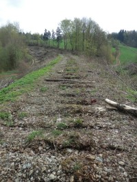 Vytrhané koleje, první fáze rekonstrukce trati
