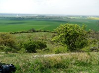 Pohled na jihozápad, vzadu vlevo je obec Libice nad Cidlinou