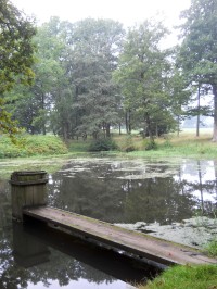 Dámský rybník 