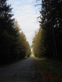 Na silnici ze Slavíkovic