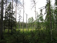Park Pyhä-Häkki