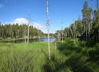 Jezero Kitulanlampi