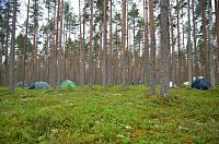 Finsko - národní park Rokua