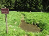 Pramen potoka Weissbach