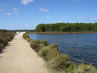 Cesta k mokřadům S'Albufera des Grau