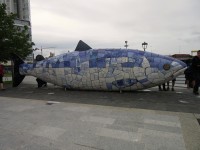 Velká modrá ryba