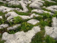 Národní park Burren