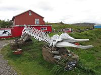 Bones and stones museum - gift shop