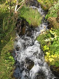 Voda vytékající od vodopádu Gljufrafoss