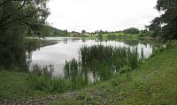 Býkovický rybník
