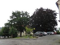 Jiřetín pod Jedlovou - pohled a památné stromy v parku na náměstí