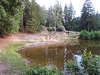Lesní rybník