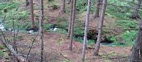 Dobranovský potok, který protéká Údolím samoty