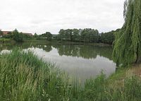 Hnanický rybník
