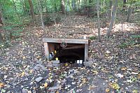 Studánka Nad Červenejch loukou