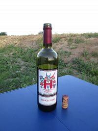 Víno vinařství Hanák