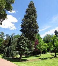 Městský park - bývalá Panská zahrada
