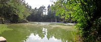 Luleč - rybník Hartlovka
