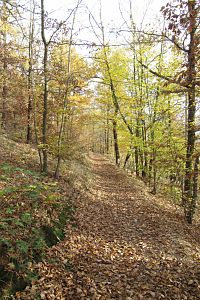 Přírodní památka Vinice - tohle byla ještě pohodlná cesta