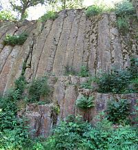 Konojedské bochníky - trochu detailu - je to něco úžasného