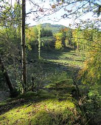 Skalnatý vrchol Obora