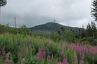 Tohle je asi Kráľova skala (1690 m) - je na NS  Šumiac - Kráľova hoľa