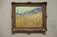 Van Gogh Museum - obraz Van Gogha