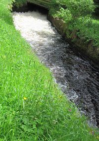 Klidně bych tu mohla stát dlouho a dívat se