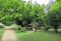 Kouřim - městský park Na Hradbách