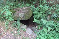 Jarní studánka