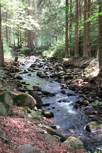 Přes střední Čechy na Vysočinu - 1. den - Brdy - cca 8,5 km dlouhý částečný okruh: Strašice-Hájkův most - Dům přírody zámeček Tři trubky - Třítrubecká vyhlídka - Skládaná skála - studánka Merfánka; Jince - koupaliště Biotop a pivovar