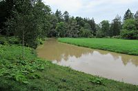 Botič je pěkně kalný