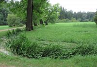 Včera tu musela být pěkná divočina