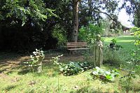 Parková úprava u tvrze