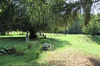 Parková úprava u tvrze