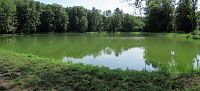 .... a dalšího bezejmenného rybníka