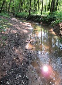 Šembera moc vody nemá