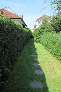 Pěšinka ze zahrady do Dvořáčkovy ulice