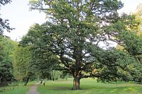 Park Peliny u Tiché Orlice