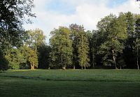 Park Peliny u Tiché Orlice