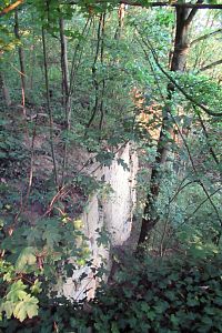 Skály přírodní rezervace Peliny