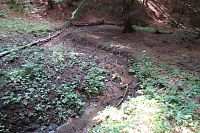 Dolenský potok meandruje bez vody