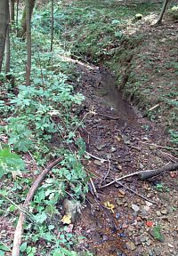 Už je v potoce nějaká voda