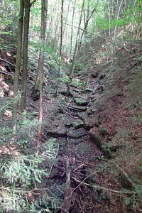 Čertova rokle z lávky