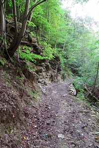 Naše neznačená cesta stále vypadá schůdně