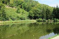 Horní pilský rybník