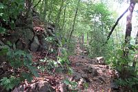 Cesta už tak pohodlná není